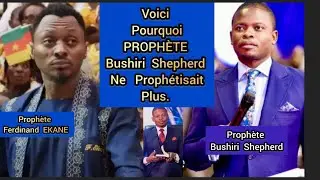 Voici  Pourquoi  Prophète  Bushiri  Shepherd  Ne   Prophétisait  Plus || Prophète Ferdinand EKANE 