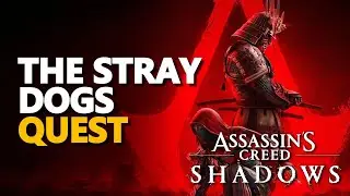 The Stray Dogs Assassin's Creed Shadows