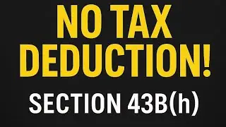 Section 43B(h) Explained in 3 Minutes!
