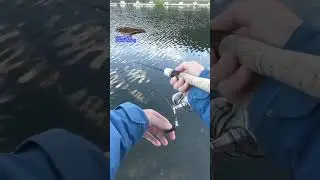 【AREA TROUT Fishing】DS Bevy vib ＃Full brown DAYSPROUT 2023 10 21   HD 1080p