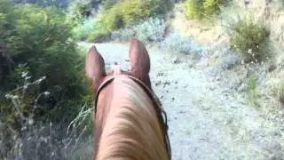 Cash on the Trail