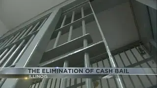 Senator Terri Bryant reacts to end of cash bail in Illinois