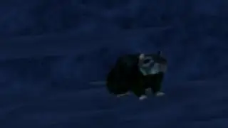 rat breathing showcase [dsba]
