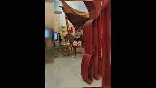 Bihar Museum Patna Vlog world class museum tour trending video vlog Full vlog video inside museum👍👌