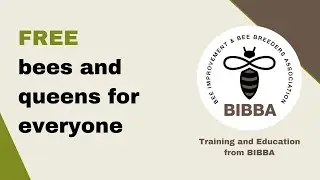 Free Bees and Queens for Everyone Queen Rearing - Never buy Bees or Queens Again!