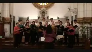 Coro Animo - Ang Maya