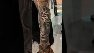 Impossible cover up!