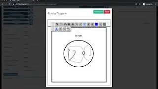 Healthgraph EMR Video