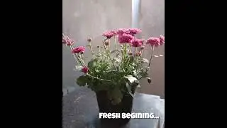 #freshbeginnings