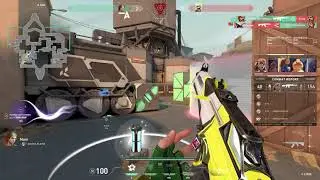 INSANE Clove Post-Humous Clutch