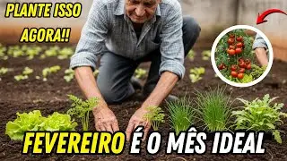 8 Cultivos Que Você DEVE Plantar em Fevereiro Para Colher MUITO