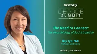 Inscopix DECODE Summit 2020 | Kay Tye, PhD, Salk | Neurobiology of Social Isolation & Loneliness