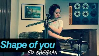 【ルーパー】Shape of You / Ed Sheeran (cover) flute &times; loopy hd