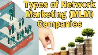 Types of Network Marketing (MLM) Companies| MLM Company  के प्रकार