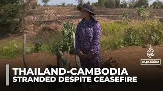Displaced families stranded on Thailand&ndash;Cambodia border despite ceasefire