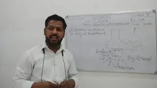 Geography- Branches of South West Monsoon
