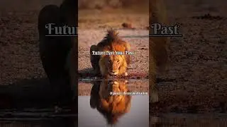 Your Past Is Gone.💯 Your Future Is Calling.  #motivation #future #growth #success #ytshorts #shorts