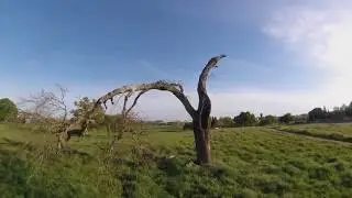 FPV Wings - Norcal FPV BBQ - April 2018