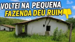 VOLTEI NA PEQUENA FAZENDA DEU RUIM !!!