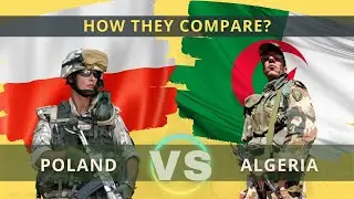 Poland vs Algeria military power comparison 2021 | Algeria vs Poland