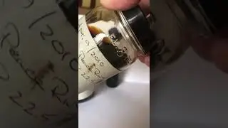 Oil Viscosity