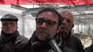 Sopralluogo al mattatoio di Partinico