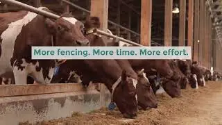 Intensive vs Extensive Grazing | Which Livestock Method Works Best?