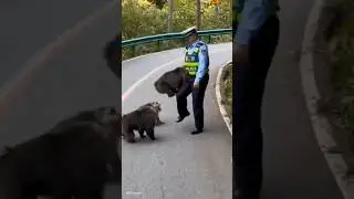Police vs monkey 🐒🐵 #dance #shorts