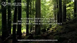 Restoring Nervous System Balance & Vagus Nerve Support &mdash; 30Hz, 60Hz & 120Hz