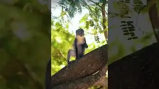 Watch this to feel alive again