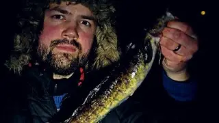 K&Auml;VIN MADEPILKILL&Auml; IIJOELLA