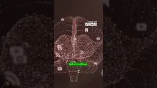 Unlock Your Dreams! 🤯 The Science of Dreaming Explained! 😴