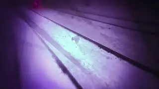 Keep out - TAN NINE (AI generated)