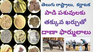 Many Low cost Feed formulas for high milk production Telugu | Dr. Madankumar Vet