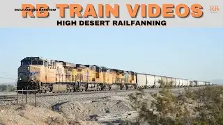 AWESOME Train Sightings You Won't Believe!