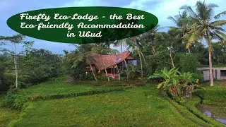 FIREFLY ECO-LODGE IN UBUD, BALI I Bali Travel Vlog I Travel with Shreya