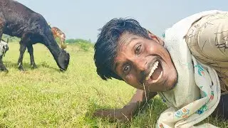 நம்ம YouTube சேனலின் பழைய ஞாபகங்கள்