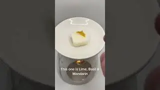 New botanicals wax melt collection - stunning designer inspired fragrance #waxmeltsuk #shortvideo