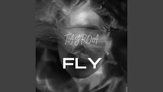 Fly