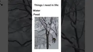 That&rsquo;s all I need ￼#snow  #skiing #funny #shorts