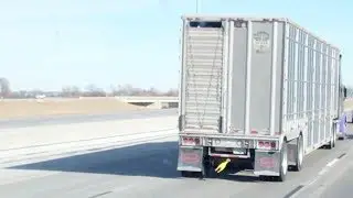 Chicken Hauler