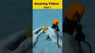 79 गज़ब विडियो 😲😲 Part 1   Gajab Video Part 2   #shorts #facts