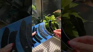 how to cut curved glass #stainedglass #glasscutting #tutorial