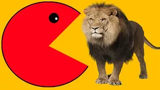 Learn Animals Name for kids - Zoo Animals for Children - Video for Kids