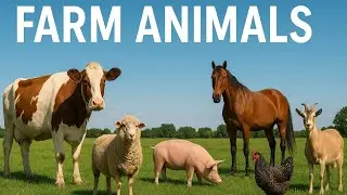 FARM ANIMALS 🐄 Relaxing Music for Stress Relief🌿 #FarmAnimals