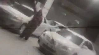 اغنية | ليبيه هجوله |   ياغالي خلك في حالك   | 2020 بطيء مميز