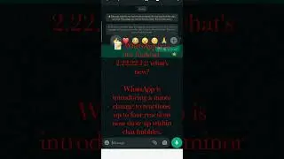📝 WhatsApp beta for Android 2.22.22.12: what's new?