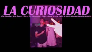 La Curiosidad Remix, pero estas en el baño de una discoteca/fiesta