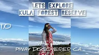 GOING UP TO KULA FOREST RESERVE 1.0