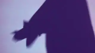 Dorian Lee - Video for Installation First Draft